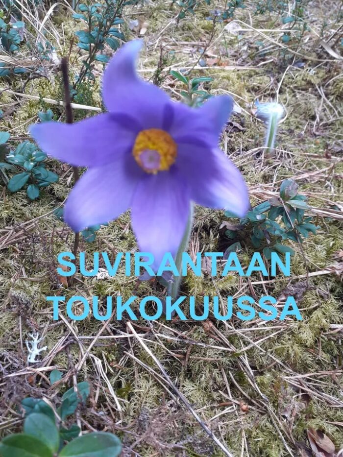 TALVIHINNALLA VIELÄ VARATTAVISSA:
16.-23.5. LEPOLINNA (pe-pe) 250e
19.-23.5. TOIVOLA (ma-pe) 200e

Nopein nappaa. Tee varaus toimistolle sähköpostilla tai puhelimitse.

Huomaathan, että varaajan tulee olla yhdistyksemme jäsen ja jäsenmaksu tulee olla maksettu.