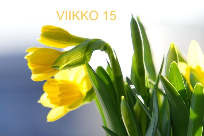 VIIKKO 15

MAANANTAINA KLO 15-16 UNIAPNEAINFO yhdistyksen toimistolla, Asentajantie 13

MAANANTAI KLO 16-18 HENGITYSSAIRAIDEN VERTAISRYHMÄ yhdistyksen toimistolla, Asentajantie 13, tervetuloa keskustelemaan kahvikupin ääressä.

TIISTAI KLO 18.00 VERKKOLUENTO ResMedin uniapnealaitteiden esittely. Luennolla kuulet ResMedin uniapnealaitteiden ominaisuuksista sekä laitteiden ylläpidosta. Opit myös, kuinka voit seurata hoitoa myAir-sovelluksella sekä millainen uusi AirFit F40 -kokokasvomaski on. Luento järjestetään yhteistyössä ResMed Finland Oy:n kanssa.
Asiantuntijana Anu Karhunen, ResMed. Liittymislinkki: https://www.hengitysliitto.fi/tapahtuma/resmedin-uniapnealaitteiden-esittely/

KESKIVIIKKO KLO 17.00 ETÄJUMPPA Virkeyttä viideltä- Hengitysharjoituksia. Keskitytään hengityksen syventämiseen ja tehdään rauhallisia joogan liikkeitä. Palleahengitys vahvistaa keuhkoja ja lisää kokonaisvaltaista hyvinvointia. Harjoitus rauhoittaa kehoa ja mieltä, mutta antaa myös energiaa. Tällä kerralla tarvitset jumpassa vyön (esim. Kylpytakin vyön). Liittymislinkki: https://www.hengitysliitto.fi/tapahtuma/virkeytta-viidelta-hengitysharjoituksia-15/

TORSTAI KLO 18.00 SUORA VERKKOLÄHETYS Sisäilmaongelmien selvittäminen taloyhtiön osakkaana. Tule kuulemaan, miten taloyhtiön osakkaan kannattaa toimia epäillessään sisäilmaongelmaa. Luennoitsijana asianajaja, varatuomari Saara Leinonen ja asianajaja Esa Kärnä Asianajotoimisto Teräskulmasta. Liittymislinkki: https://www.hengitysliitto.fi/tapahtuma/sisailmaongelmien-selvittaminen-taloyhtion-osakkaana/

LAUANTAI KLO 11-16 YHDISTYS SENIORIMESSUILLA, Hattulassa Juteinikeskuksessa. Tule kysymään, keskustelemaan ja kuulemaan hengityssairauksista ja yhdistyksen toiminnasta. Kokemustoimijat tavattavissa.

Mukavaa viikkoa!